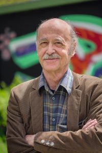 Remo Largo
